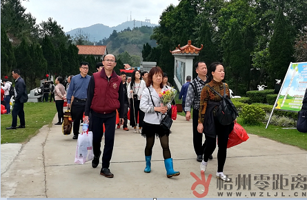 今日清明，市區(qū)公墓迎來(lái)祭掃高峰！