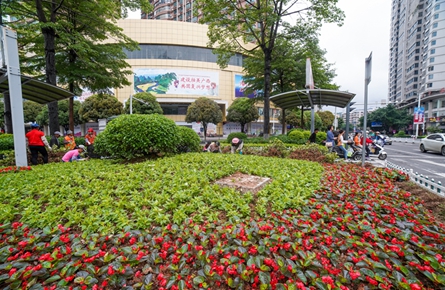 時花裝點道路