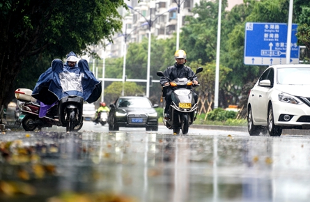 降雨頻繁