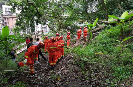 山上樹木倒伏危及山下居民 