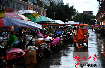 新城市場(chǎng)外車輛無(wú)序停放