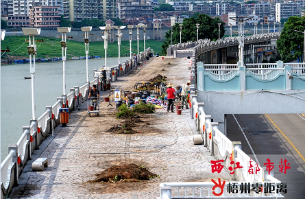 河東防洪堤桂江段防洪堤改造