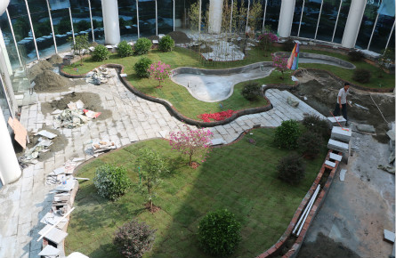 蒼海濕地公園建設(shè)雨水花園