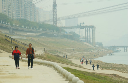 滿眼皆“綠” “道”處皆景