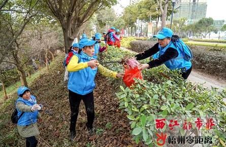 志愿隊(duì)伍齊動(dòng)手 干干凈凈迎新春