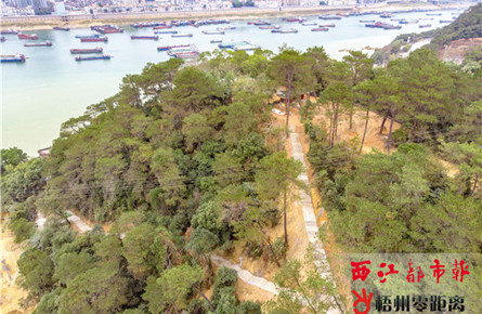 拓寬登山道路 