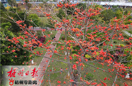 繁花似錦 交相輝映