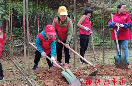 義務(wù)植樹(shù)添綠意