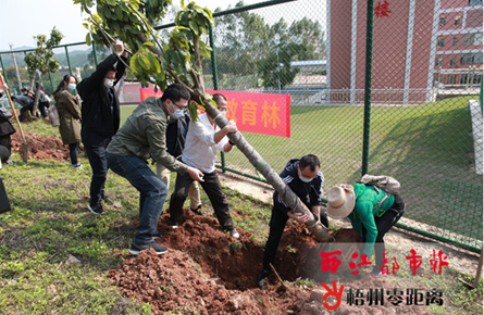 積極植樹造林