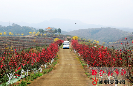 大美仙跡桃花島