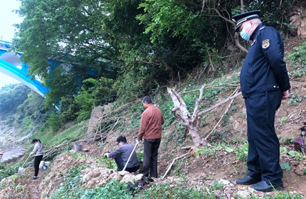 打擊河堤護坡種菜行為