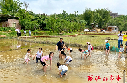 體驗勞動艱辛 感受收獲喜悅