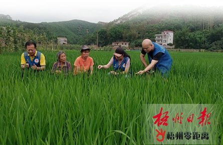 持之以恒，決戰(zhàn)脫貧攻堅