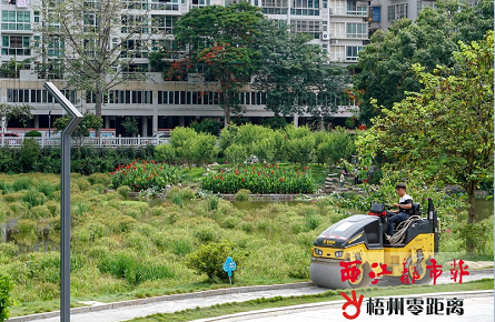 進一步提升公園景觀