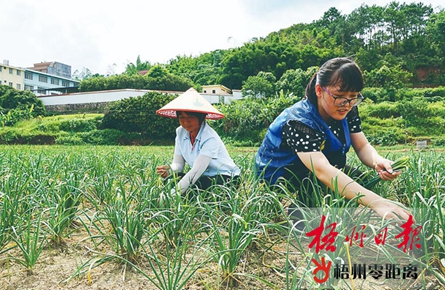 扎根基層 情傾農(nóng)家 | 梧州市駐村第一書記掠影