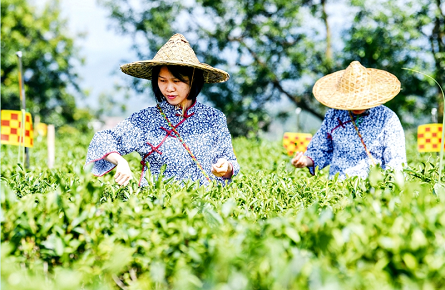 “非遺”里的大產(chǎn)業(yè)