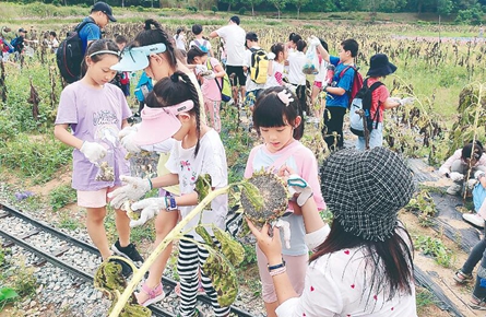 實(shí)地學(xué)習(xí)動植物知識