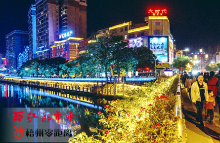 欣賞沿江夜景