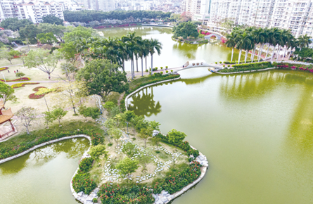 綠樹(shù)紅花景色美