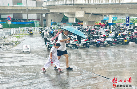 暴雨送清涼