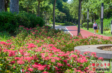 玫瑰湖公園鮮花簇?fù)?><p>玫瑰湖公園鮮花簇?fù)?/p></a></li>
          <li><a href=