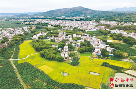 鄉(xiāng)村風(fēng)景美如畫