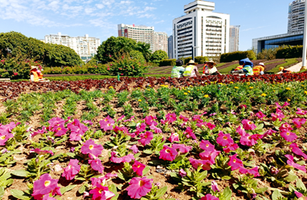 換種花卉