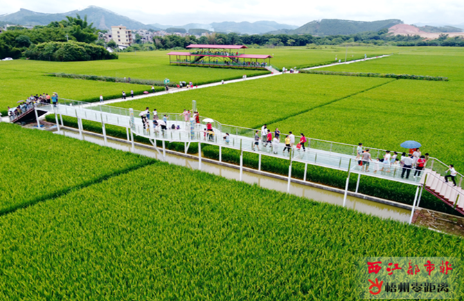 打造特色旅游豐富市民生活