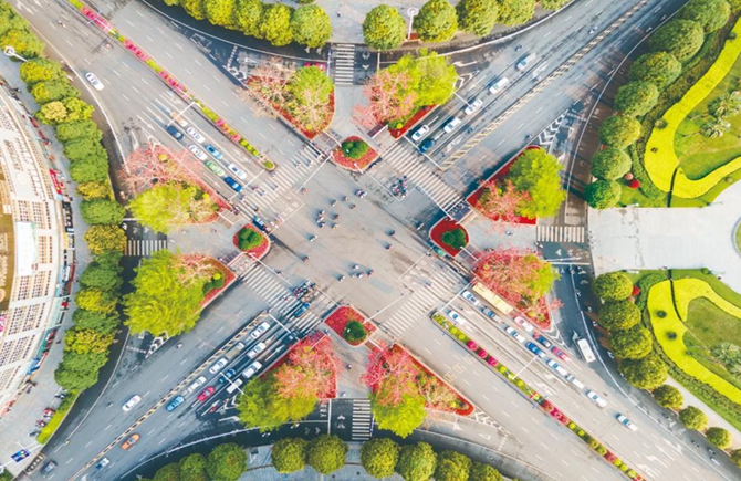 綠樹紅花 美化道路節(jié)點(diǎn)