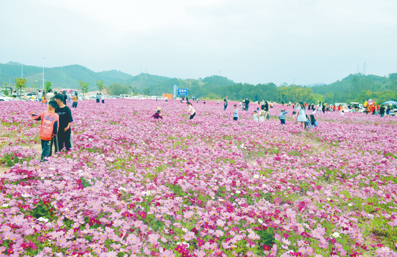 打造花園式工業(yè)園區(qū)