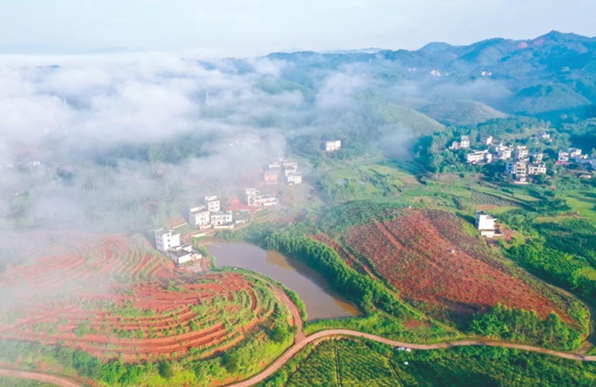 繪就鄉(xiāng)村振興新畫卷