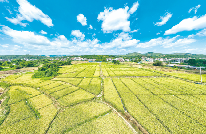 “豐”景 如畫