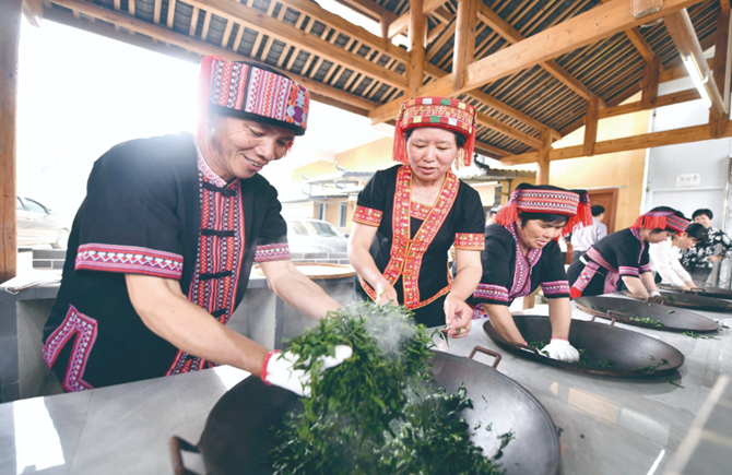 2024年蒼梧縣六堡茶開(kāi)茶節(jié)活動(dòng)精彩紛呈