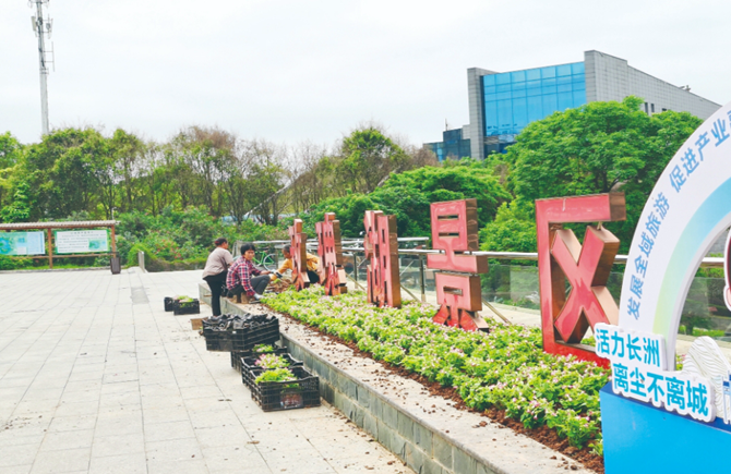 綠化美化公園景區(qū)