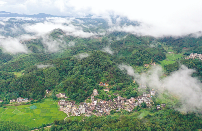 公益林滿山翠