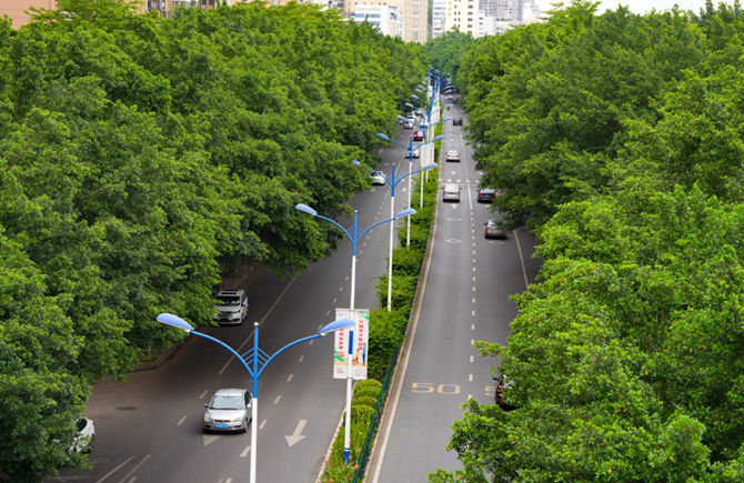 路“嵌”綠中