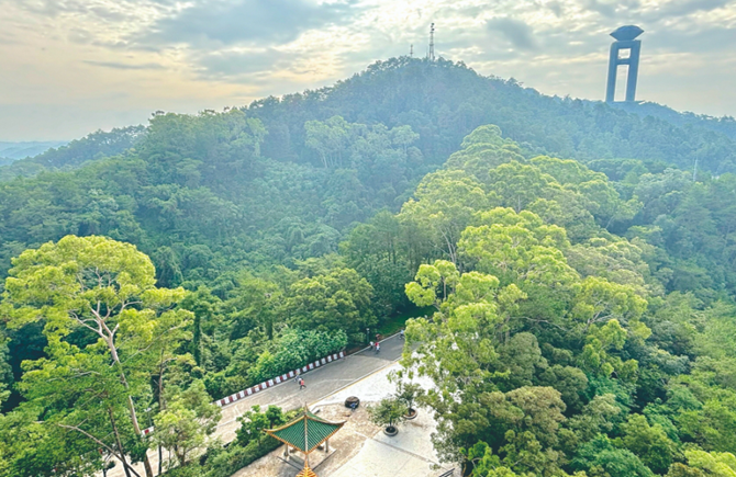 漫步山間欣賞夏日美景