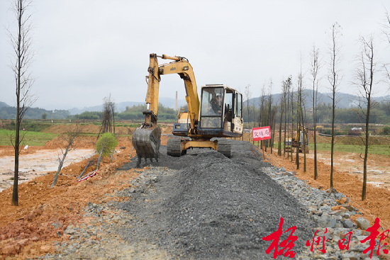 月12日，在萬秀區(qū)夏郢鎮(zhèn)，施工機(jī)械正鋪設(shè)道路沙石。     夏郢鎮(zhèn)依托思良江兩岸山水自然風(fēng)光，開發(fā)休閑農(nóng)業(yè)觀光項(xiàng)目。萬秀區(qū)政府與市直有關(guān)部門共同在該項(xiàng)目的油菜花基地修建一條沙石道路，既方便游客，又為村民生產(chǎn)勞動提供便利。      孟亞西  攝   