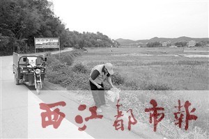 3月21日，保潔員岑伯均在夏郢鎮(zhèn)答涓村主要干道上清理垃圾，身旁就是新配備的電動三輪保潔車。龍?zhí)靷?攝 